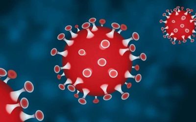 Coronavirus epidemic Q&A