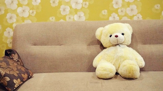 teddy bear in apartments to rent in doncaster